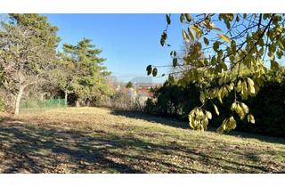 Grundstück zu kaufen in 7072 Mörbisch am See, AUFGESCHLOSSEN - SONNIGES, EBENES ECKGRUNDSTÜCK MIT ALTBAUMBESTAND