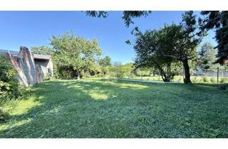 Haus kaufen in 7301 Deutschkreutz, FAMILIENFREUNDLICH IN SIEDLUNGSLAGE MIT GARAGE UND GROSSEM KELLER