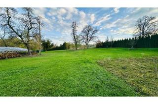 Grundstück zu kaufen in 4612 Scharten, Baugrundstück in schöner Lage