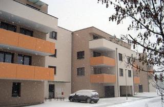 Genossenschaftswohnung in 2700 Wiener Neustadt, Modernes Wohnen mit Komfort: 2-Zimmer-Wohnung inkl. Balkon & Stellplatz - Badener Straße 3/1/8