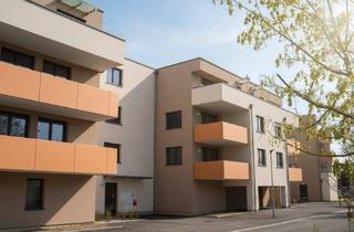 Genossenschaftswohnung in 2700 Wiener Neustadt, Modernes Wohnen mit Komfort: 2-Zimmer-Wohnung mit Balkon - 3/1/8