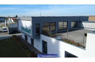 Gewerbeimmobilie kaufen in 4614 Marchtrenk, Gewerbeliegenschaft mit Büro-, Produktions- und Lagerflächen in Marchtrenk