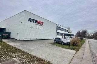 Büro zu mieten in Industriestraße 23, 2353 Guntramsdorf, Moderne Gewerbehalle mit Büro – Top-Lage in Guntramsdorf!