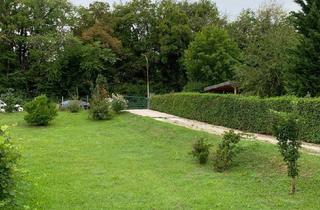 Grundstück zu kaufen in 2500 Siegenfeld, Großes Baugrundstück in idyllischer Lage in Siegenfeld zu verkaufen