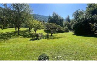 Grundstück zu kaufen in 6911 Lochau, Baugrundstück am Tannenbach