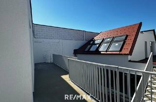 Wohnung kaufen in 2514 Traiskirchen, Exklusive 4-Zimmer-Dachgeschosswohnung mit großer Dachterrasse &