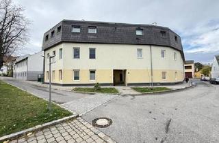 Wohnung mieten in 2542 Kottingbrunn, Single Wohnung mit 1. Zimmer zu vermieten...