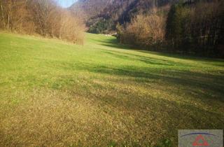 Gewerbeimmobilie kaufen in 3153 Eschenau, Grünland