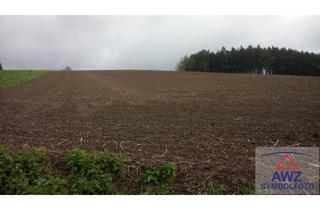 Gewerbeimmobilie kaufen in 3223 Langseitenrotte, Ca. 2,94 ha Ackerfläche in Kilb zu verkaufen!