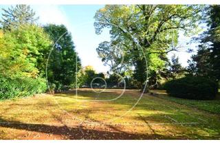 Grundstück zu kaufen in 2500 Baden, Phänomenaler ebener Villenbaugrund in zentraler Grünruhelage - zwei Bauflächen!