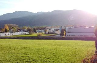 Grundstück zu kaufen in 4560 Kirchdorf an der Krems, Aufgeschlossener Baugrund in attraktiver Lage