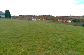 Grundstück zu kaufen in 2213 Bockfließ, 4354 m2 Wiese und 2719 m2 Wald nahe Sentilj zu verkaufen