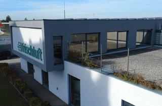 Lager kaufen in 4614 Marchtrenk, Gewerbeliegenschaft mit Büro-, Produktions- und Lagerflächen in Marchtrenk