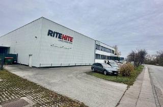 Gewerbeimmobilie mieten in Industriestraße 23, 2353 Guntramsdorf, Moderne Gewerbehalle mit Büro – Top-Lage in Guntramsdorf!