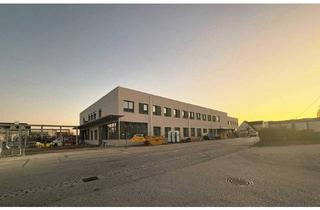 Büro zu mieten in 4600 Wels, Vielseitig nutzbare Gewerbefläche in Welser TOP-Lage unmittelbar an der B1 – Erstbezug!!