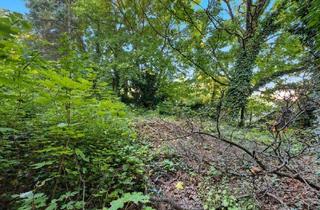 Grundstück zu kaufen in 2102 Bisamberg, Baugrundstück in Bisamberg Bauland Wohngebiet Widmung!