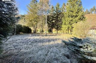 Grundstück zu kaufen in 3172 Gaupmannsgraben, Grundstück in Gaupmannsgraben (Land- Forstwirtschaft)