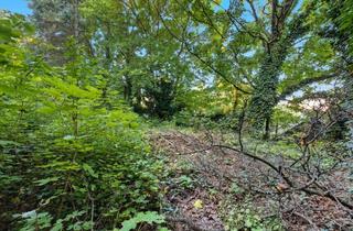 Grundstück zu kaufen in 2102 Bisamberg, Baugrundstück in Bisamberg: Bauland Wohngebiet Widmung