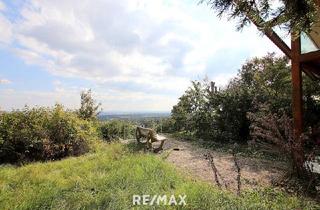 Grundstück zu kaufen in Wittgensteinstraße, 1230 Wien, Eigengrund: Grünland mit Gartenhaus - Großes Grundstück in Mauer am Kadoltsberg - direkt am Lainzer Tiergarten