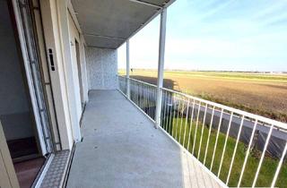 Wohnung mieten in 3451 Michelhausen, schöne Erstbezugswohnung mit Balkon und Freiblick - optimaler Grundriss - Wohn(t)raum im Tullnerfeld - im Grünen wohnen, aber in der Stadt arbeiten - Tiefgarage vorhanden!