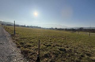 Grundstück zu kaufen in 4553 Schlierbach, Baugrundstück in Schlierbach; 252/89 - 784 m²