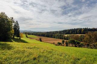 Grundstück zu kaufen in Schrötten 41, 8411 Hengsberg, Bauerwartungsland mit Weganteil im Zentrum von Hengsberg
