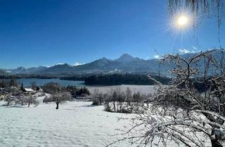 Grundstück zu kaufen in 9583 Faak am See, Faak am See zentral - DREI Baugrundstücke mit Altwidmung für Ihr Eigenheim