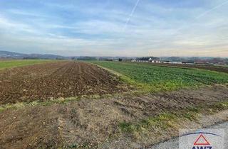 Gewerbeimmobilie kaufen in 3820 Raabs an der Thaya, Ackerflächen in der Nähe von Raabs/Thaya!