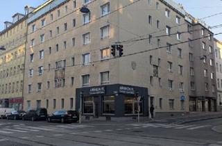 Wohnung kaufen in Herndlgasse, 1100 Wien, perfekte Junggesellenwohnung - 10 Minuten von der City