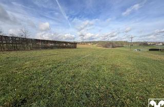 Grundstück zu kaufen in 4724 Neukirchen am Walde, Ca. 5260 m² Landwirtschaftlicher Nutzgrund