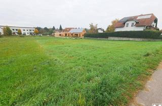 Grundstück zu kaufen in 3254 Bergland, BAUTRÄGERGRUNDSTÜCK ODER SELBST BAUEN