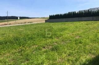 Grundstück zu kaufen in 4910 Ried im Innkreis, OPTIMAL FÜR IHR BAUVORHABEN