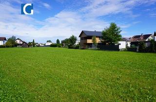 Grundstück zu kaufen in 6974 Gaißau, Attraktive Baugrundstücke in Gaißau