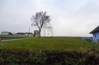 Grundstück zu kaufen in 3392 Schönbühel an der Donau, SONNIGE UND RUHIGE LAGE NAHE MELK?