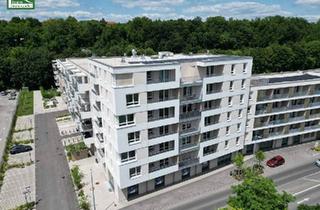 Wohnung mieten in 3100 Sankt Pölten, Steingötterhof: Stadt trifft Natur - Neubauwohnungen in wunderbarer Lage - JETZT ANFRAGEN