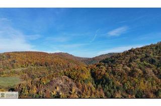 Grundstück zu kaufen in 2534 Alland, Ihr Bauplatz im Grünen