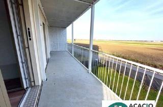 Wohnung mieten in 3451 Michelhausen, schöne Erstbezugswohnung mit Balkon und Freiblick - optimaler Grundriss - Wohn(t)raum im Tullnerfeld - im Grünen wohnen, aber in der Stadt arbeiten - Tiefgarage vorhanden!