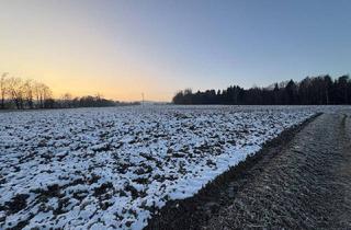 Grundstück zu kaufen in 4753 Taiskirchen im Innkreis, Landwirtschaftlicher Nutzgrund in Taiskirchen