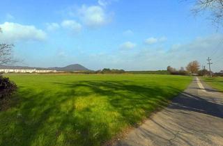 Grundstück zu kaufen in 2352 Gumpoldskirchen, Liegenschaft mit Haus in Gumpoldskirchen – Ortsrandlage mit perfekter Anbindung & großem Potenzial