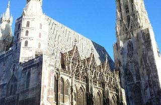 Büro zu mieten in Stephansplatz, 1010 Wien, BÜRO und WOHNUNG Am Stephansplatz