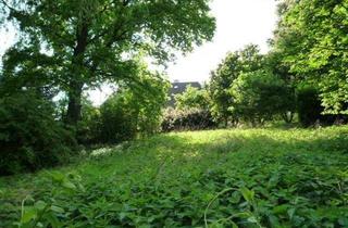 Grundstück zu kaufen in 4760 Raab, Baugrundstück ohne Bauzwang mit alten Baumbestand