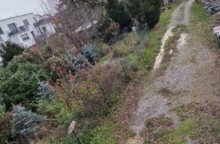 Grundstück zu kaufen in Ziegelhofstraße 207, 1220 Wien, Ziegelhofstraße - Schönes Grundstück in Siedlungslage mit Abbruchhaus