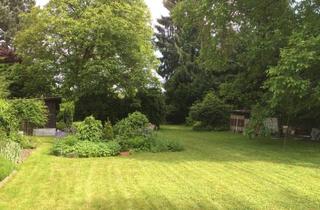 Grundstück zu kaufen in 4522 Sierning, Traumgrundstück im Zentrum