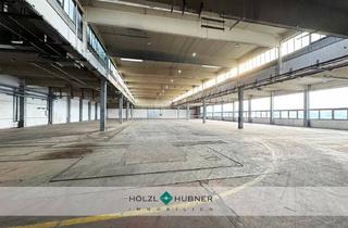 Büro zu mieten in 5114 Mittergöming, Großzügige Lagerhalle mit Büroanteil in verkehrsgünstiger Lage