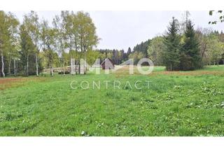 Grundstück zu kaufen in Klein Hummelberg, 3632 Bad Traunstein, Großes Grundstück mit Fischteich und Badeteich, Erholungsanlage, Freizeitparadies mit viel Potenzial