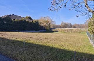 Grundstück zu kaufen in 3950 Dietmanns, Platz für Ihr Traumhaus