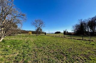 Grundstück zu kaufen in Höllerersee, 5120 Sankt Pantaleon, Wunderschönes Baugrundstück in St. Pantaleon mit Blick ins Gründe und Seenähe