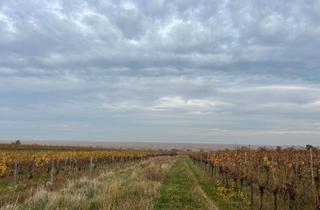  in 7072 Mörbisch am See, Landwirtschaftliche Grünfläche mit Weingarten-Potenzial und traumhaftem Seeblick in Mörbisch