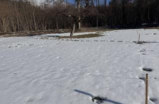 Grundstück zu kaufen in Grünsbach, 122, 6232 Münster, Traum Grundstück ruhig, sonnig am Waldrand - keine Maklerprovision