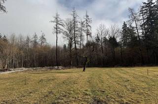 Grundstück zu kaufen in Grünsbach, 122, 6232 Münster, Traum Grundstück ruhig, sonnig am Waldrand - keine Maklerprovision